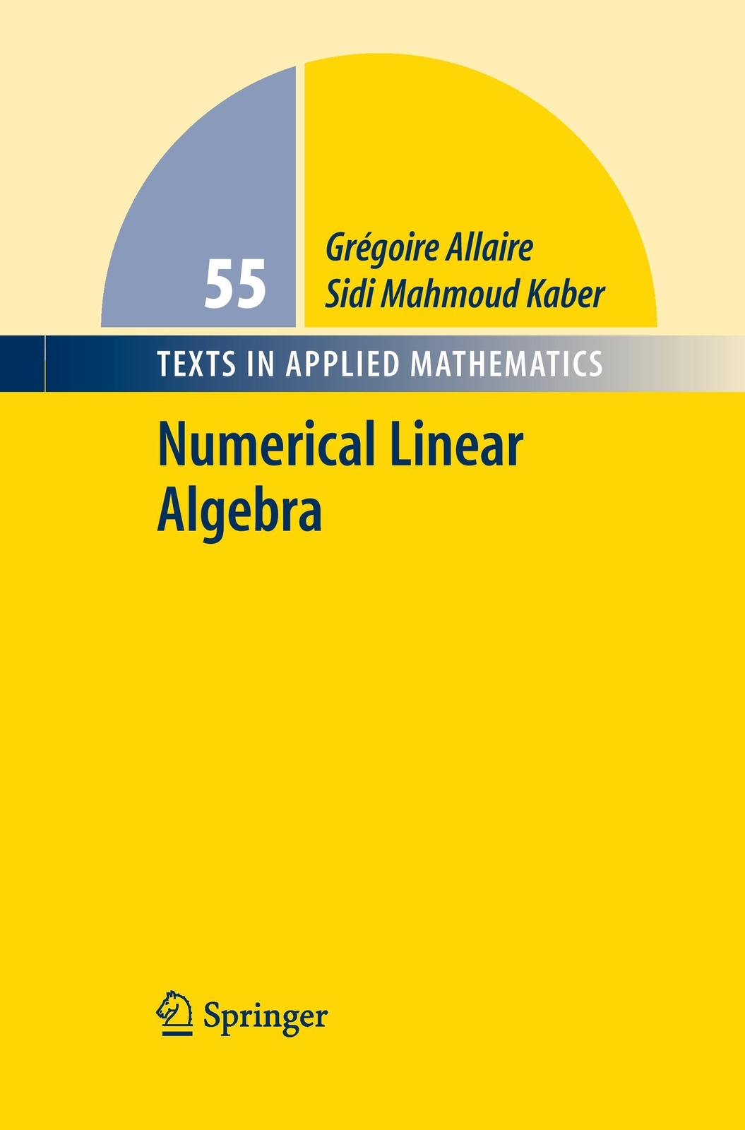 Thumbnail - Numerical Linear Algebra Grégoire Allaire (u. A.) Taschenbuch