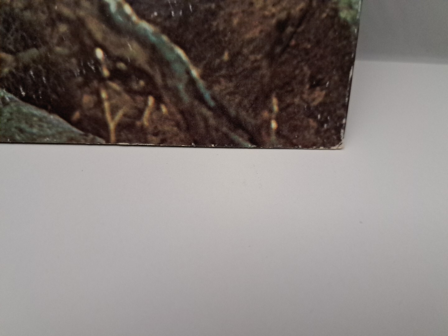 Picture 15 of 22