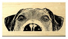 P119 Peeking Dog rubber stamp