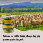Zdjęcie 5 z 9