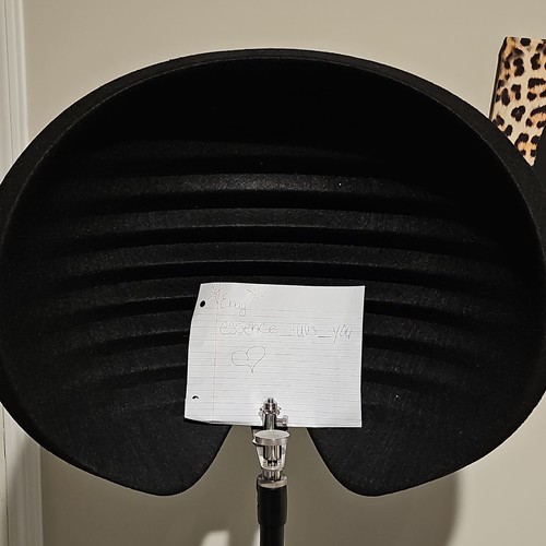 Aston Microphones HALO Shadow Reflection Filter - Black