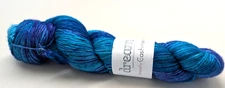Hand Dyed Dream in Color Smooshy with Cashmere 4 oz/400 yds Sir Lancelot DO