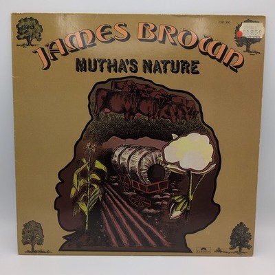 James Brown And the new J.B's Mutha's Nature Polydor GER 1977 Vinyl LP 2391 300