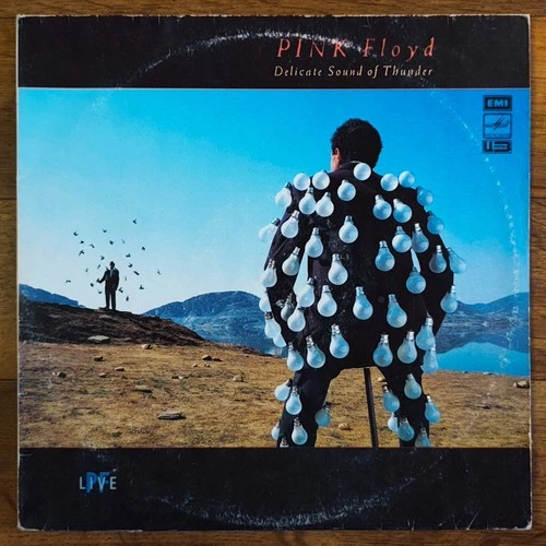 Pink Floyd – Delicate Sound Of Thunder 2LP /USSR: Мелодия - 1990/