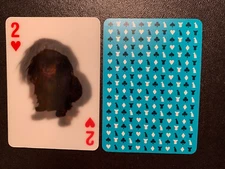 swap playing card  DOGS 3D  Two of Hearts   Special Effects Card