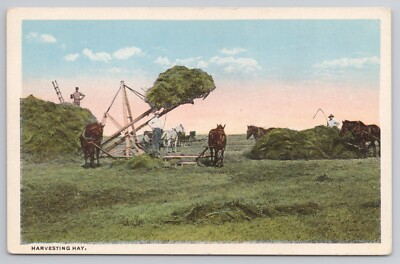 Harvesting Hay 1920s Postcard Horses Old Wooden Stacker Derrick Haying Crew Farm