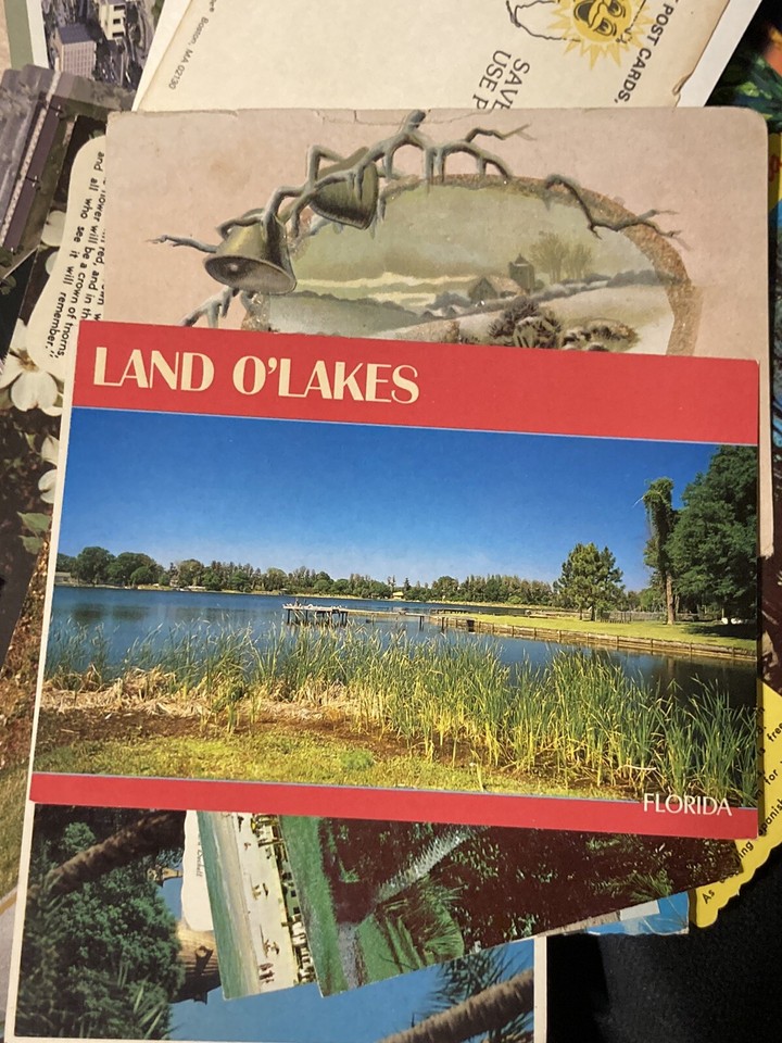 Random Large Lot Vintage/Antique/collectible Postcards Mixed Unused