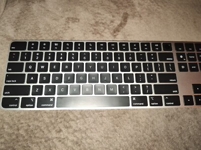 【美品】Magic Keyboard with Touch ID A2520 $_57.PNG?set_id=880000500F