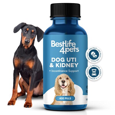 Dog UTI Treatment, Bladder Kidney Support