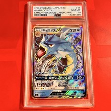 Gyarados GX 015/051 Sml: Sun & Moon Family Pokemon Card Game for