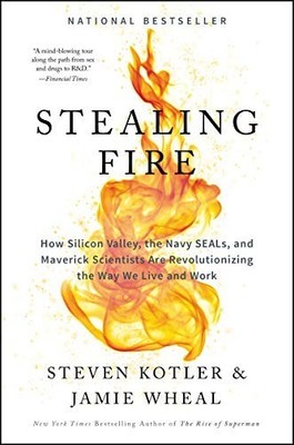 STEALING FIRE: The Secrets of Super Performers from Google E... by Steven Kotler
