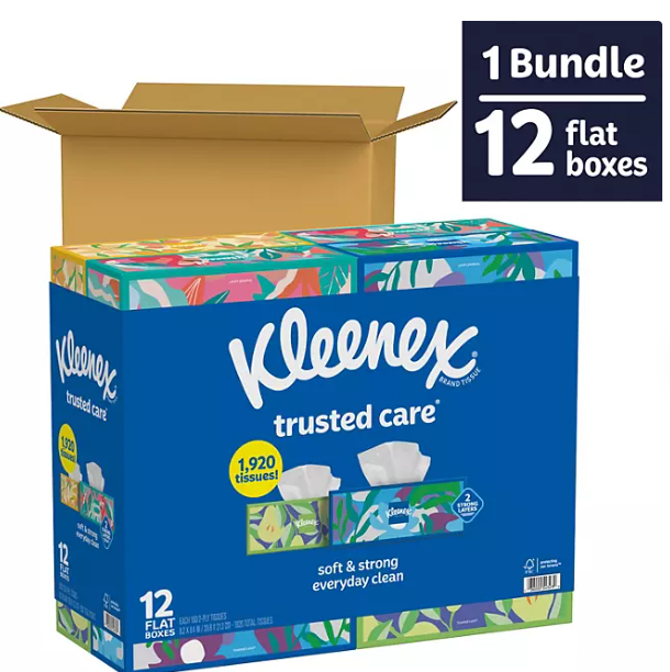 Kleenex Trusted Care 2Ply Facial Tissues, Flat Boxes 160 Tissues/Box