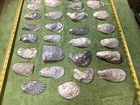 Lot of 42 Atlantic Oyster Shells 6 To 3.5 Inch Long Craft Art Collect￼ — photo 3