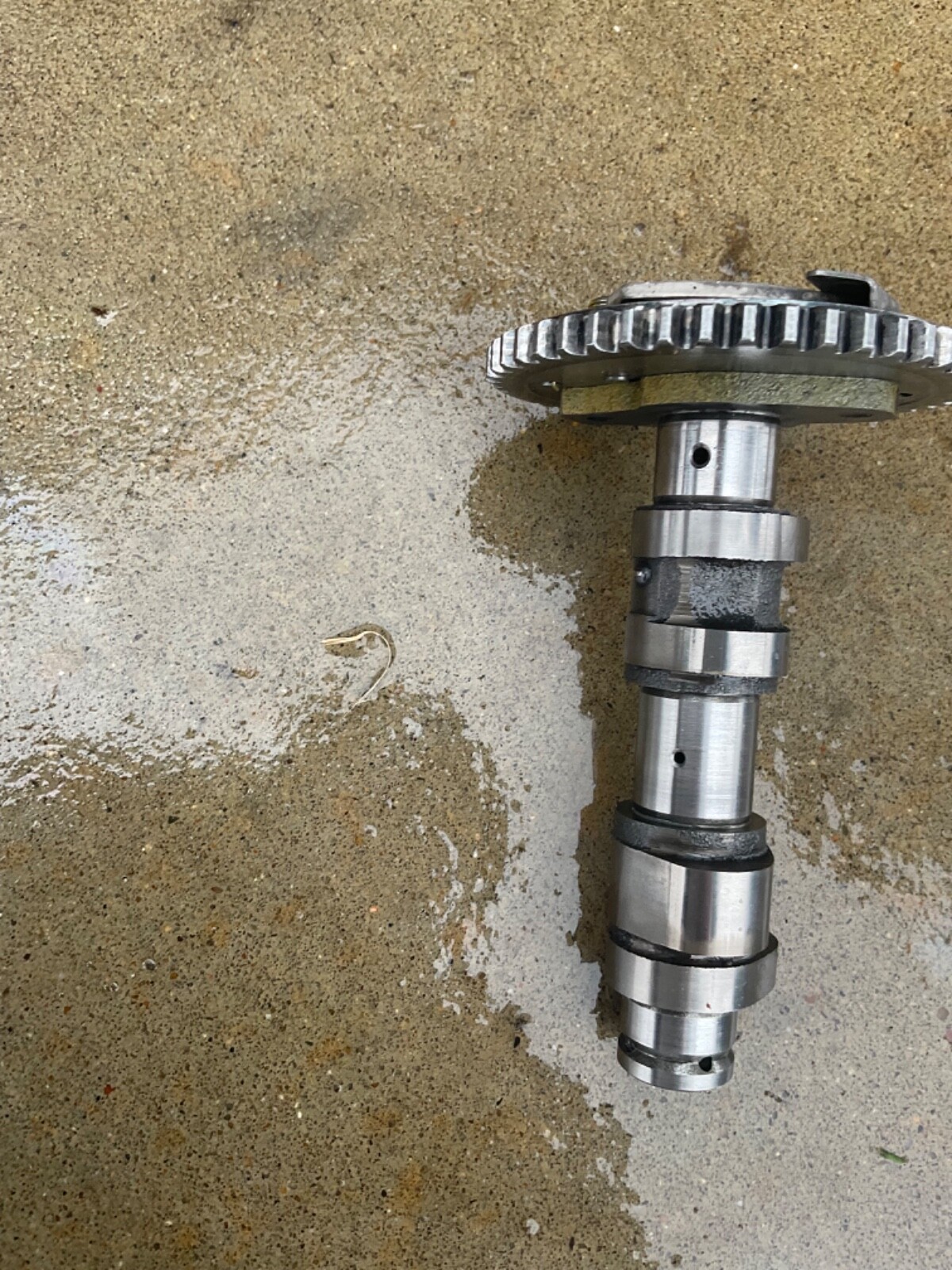 20012005 Yamaha Raptor 660 Cylinder Head Top End Valves Camshaft Bolts