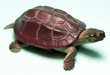 Takara Tomy 3D Capsule Encyclopedia Chinese pond turtle figure US seller new 