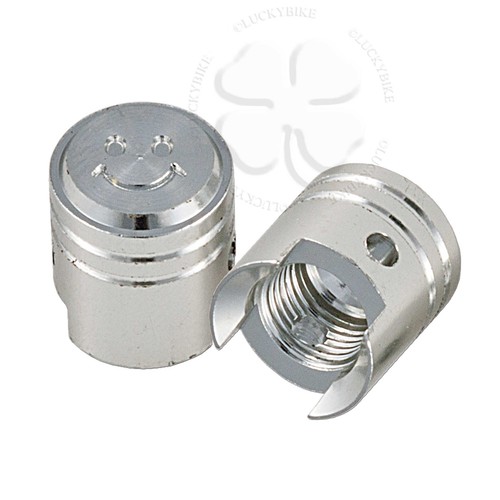 Pack De 2 éclairages Mini LED Chrome Pour Plaque - Moto Hornet, Ninja, GSXR...