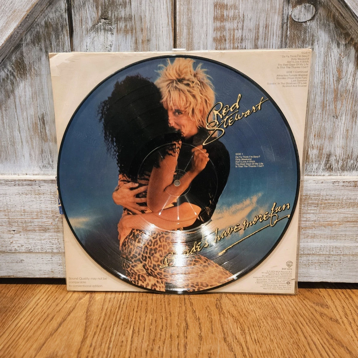 Las mejores ofertas en Rod STEWART discos de vinilo LP Picture