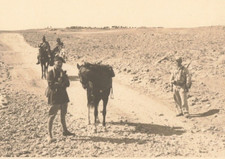 1931 Foto Legione Straniera Francese Algeria Africa Tenente Maftein Guerra Berberi b*Am5e