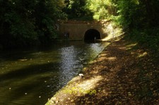 Photo 6x4 Birmingham & Fazeley Canal Curdworth Fallen leaves carpet the t c2016