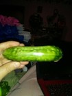 Small Vintage Planters Shaped Like A Cucumber — photo 3