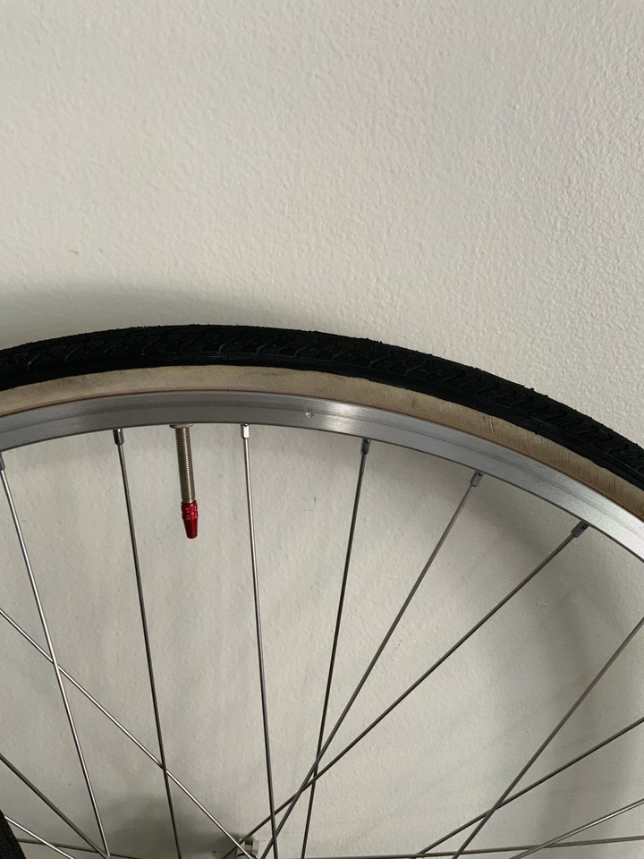 Pignon Libre Vélo Course EVEREST CAIMI – 5 Vitesses 19-23t – NOS Vintage Italie