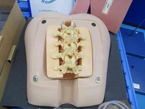 Kyoto Kagaku Lumbar Puncture Simulator II M43B Made in Japan Training Trainer #5 - Picture 7 of 12