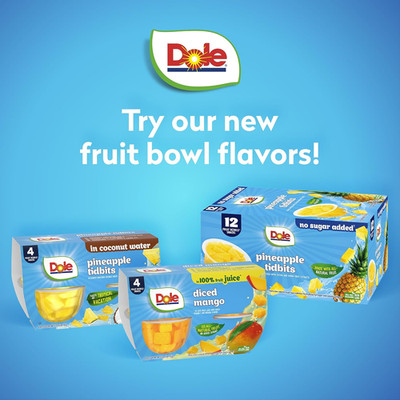 Pineapple Tidbits with No Sugar Added  -  Fruit Bowls Snacks - 4 Oz Fruit Bow...