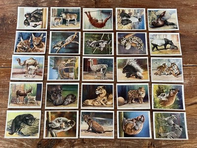 John Players Zigarettenkarten kompletter 25er Set - Zoo Babys 1938