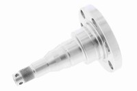 Achszapfen AchsköRper Vaico V10-1393 FüR Audi Vw Passat 33B Derby Seat Golf Polo