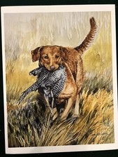 Chesapeake Bay Retrievers  Print By Martha Van Loan. 8 X10