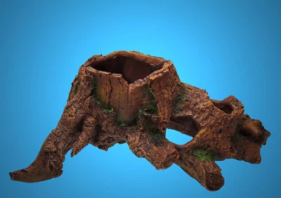 TOP Aquarium Deko 🍀 BAUMSTUMPF HÖHLE XL 🍀 Pflanzen Zubehör Terrarium Wurzel