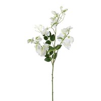 artplants Deko Zweig Lathyrus Latifolius Plenvo, Weiß, 75Cm