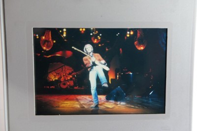 TOM PETTY . 35mm Celluloid Dia Clear Focus (b7 ) siehe vollständiges Angebot