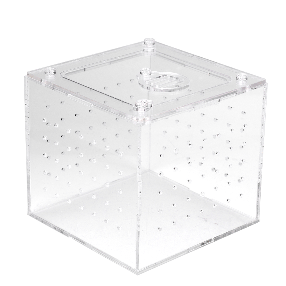 1Pc Reptile Terrarium Feeder Snakes Spider Lizard Breeding Acrylic Box Case I UK