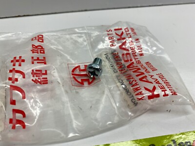 NOS Kawasaki Z1 KZ900 KZ1000 Cam Chain Guide Screw 220b0610