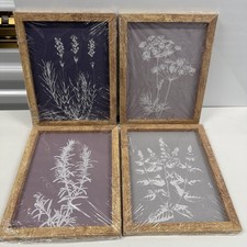 Framed Botanical Print Set - 4 Pieces
