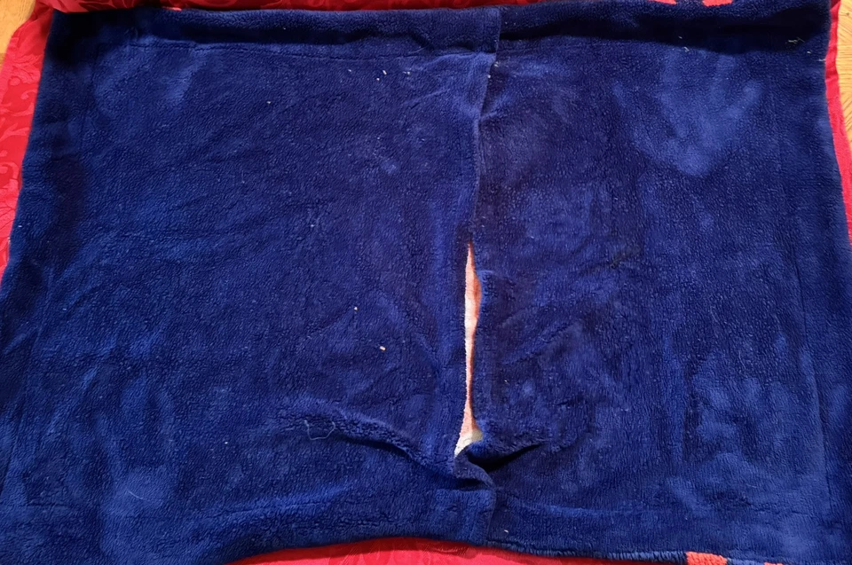 Almohada de felpa MLB Boston Red Sox de Northwest Company Foto 2 de 2