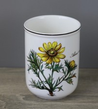 Tazza Villeroy & Boch V&B Botanica Adonis vernalis altezza circa 9,8 cm Ø 7,5