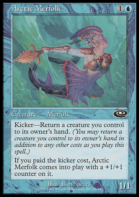 Magic the Gathering MTG Arctic Merfolk (21) Planeshift   LP