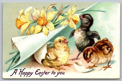 Tucks Easter Postcard Series 112 Hatching Chicks & Yellow Daffodils Postcard F14