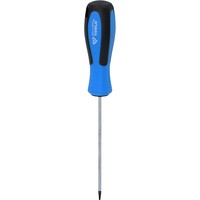 Schraubendreher Torx, T7 X 100 Mm