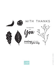 Autumn Abundance Paper Pumpkin Stamp Set September 2024 NEW