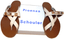 Retro Con Cinturino Metaldetail Schouler Sul Scarpa Sandalo Basso Ps11 Proenza g6f17Tqf