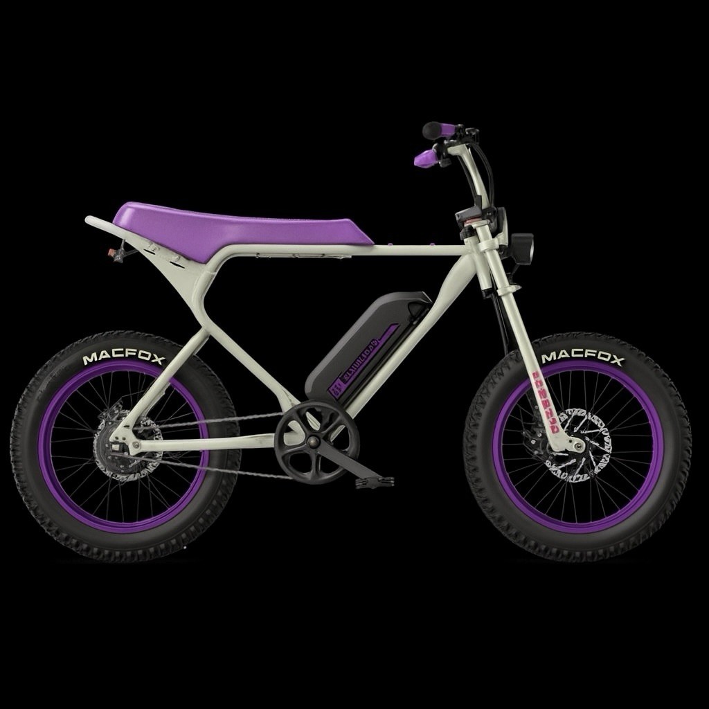 Macfox X1S x Bs.zay Special Edition Single Battery E-Bike X1 500W