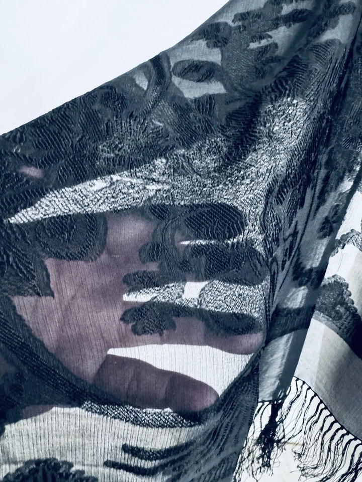 "Bufanda chal Loro Piana bordada de gasa de seda negra con flecos 28"" x 80""" Foto 2 de 4