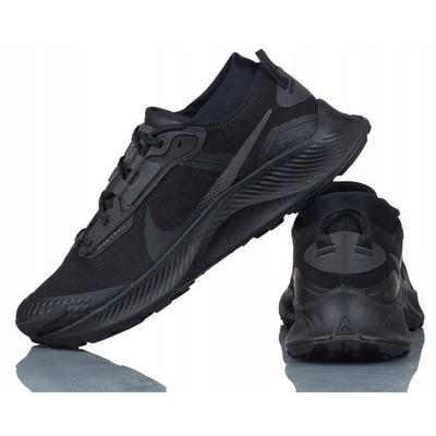 Shoes Running Men Nike Pegasus Trail 3 Gtx DC8793001 Black