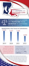 Louisiana Stats Card Brochure (Pack of 50)