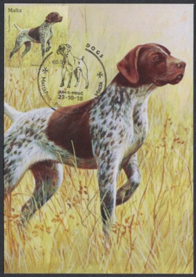 [gerb] Frame it - Dog breed GERMAN POINTER - Maximum Card - Malta 2018 - VF