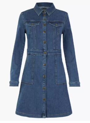 holly willoughby denim dress Holly Willoughby shows off her trim figure as she poses in denim