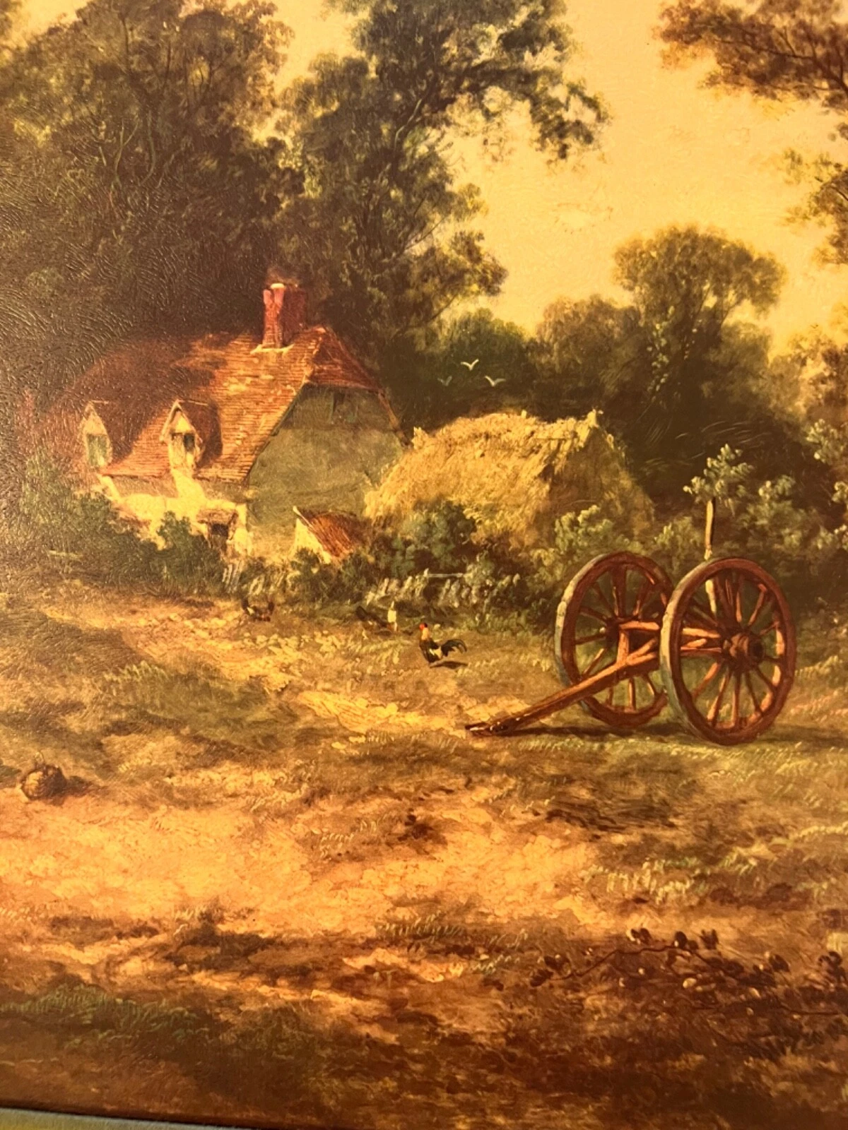 Picture 5 of 7